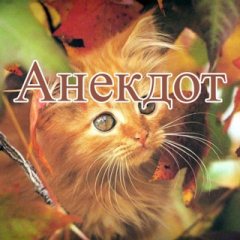 Анекдот
