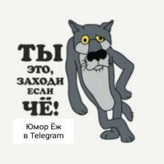 Юмор Ёж 🦔