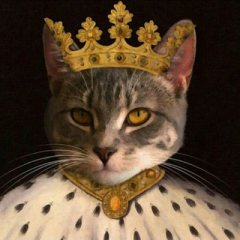 Котороль