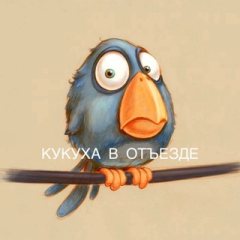 Кукуха в отъезде | Юмор от психолога