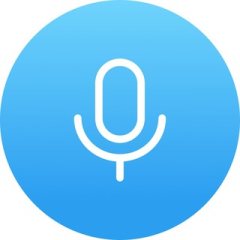 Voice Messages