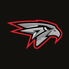 ХК «Авангард» Омск 🦅 ✔