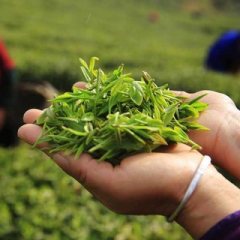 ЧАЙНЫЙ ЧИБАМБОЗ | Китайский чай 🍵